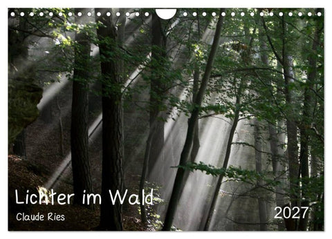 Lichter im Wald (Wandkalender 2027 DIN A4 quer), CALVENDO Monatskalender