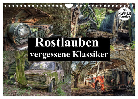 Rostlauben - vergessene Klassiker (Wandkalender 2026 DIN A4 quer), CALVENDO Monatskalender