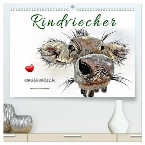 Rindviecher unglaublich (hochwertiger Premium Wandkalender 2027 DIN A2 quer), Kunstdruck in Hochglanz