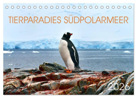 Tierparadies Südpolarmeer (Tischkalender 2026 DIN A5 quer), CALVENDO Monatskalender