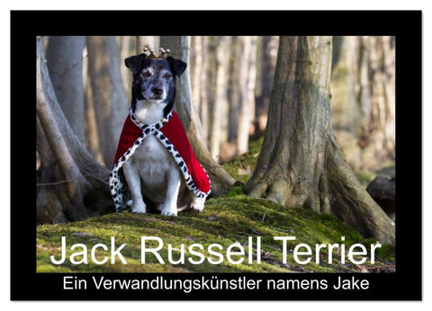 Jack Russell Terrier.....Ein Verwandlungskünstler namens Jake (Wandkalender 2026 DIN A2 quer), CALVENDO Monatskalender