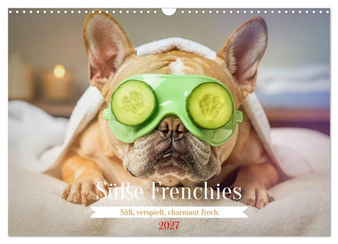 Süße Frenchies (Wandkalender 2027 DIN A3 quer), CALVENDO Monatskalender