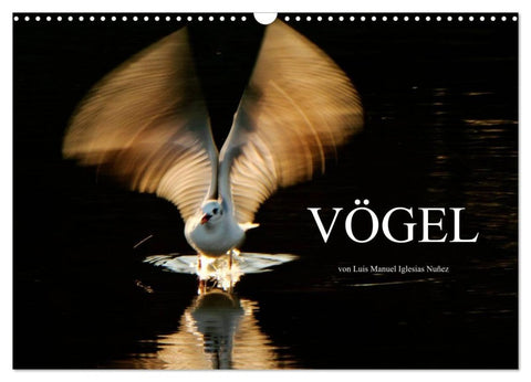 VÖGEL (Wandkalender 2027 DIN A3 quer), CALVENDO Monatskalender