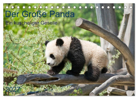 Der Große Panda Ein kuscheliger Geselle (Tischkalender 2027 DIN A5 quer), CALVENDO Monatskalender