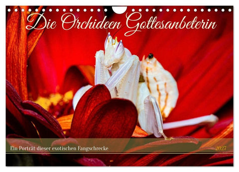 Die Orchideen Gottesanbeterin (Wandkalender 2027 DIN A4 quer), CALVENDO Monatskalender