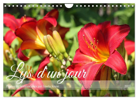 Lys d'un jour (Calendrier mural 2027 DIN A4 vertical), CALVENDO calendrier mensuel