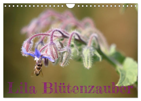 Lila Blütenzauber (Wandkalender 2027 DIN A4 quer), CALVENDO Monatskalender