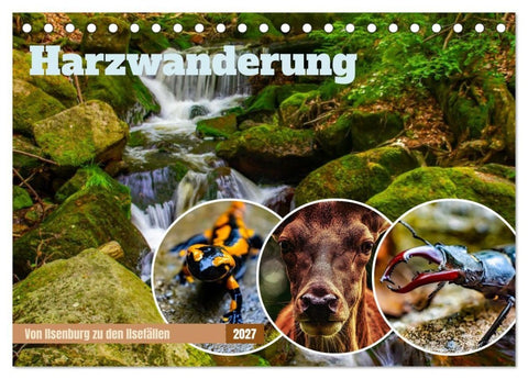 Harzwanderung - Von Ilsenburg zu den Ilsefällen (Tischkalender 2027 DIN A5 quer), CALVENDO Monatskalender