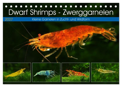 Dwarf Shrimps - Zwerggarnelen (Tischkalender 2027 DIN A5 quer), CALVENDO Monatskalender