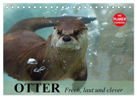 Otter. Frech, laut und clever (Tischkalender 2027 DIN A5 quer), CALVENDO Monatskalender