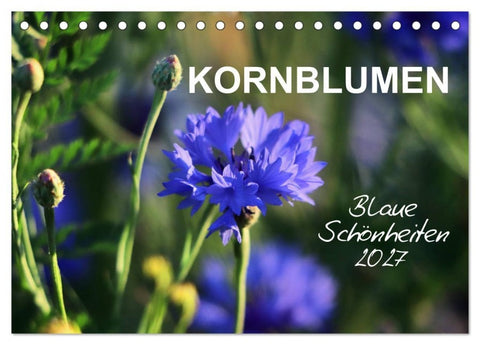 Kornblumen - Blaue Schönheiten (Tischkalender 2027 DIN A5 quer), CALVENDO Monatskalender