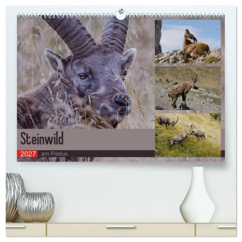 Steinwild am Pilatus (hochwertiger Premium Wandkalender 2027 DIN A2 quer), Kunstdruck in Hochglanz