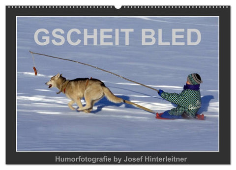 GSCHEIT BLED - Humorfotografie (Wandkalender 2026 DIN A2 quer), CALVENDO Monatskalender