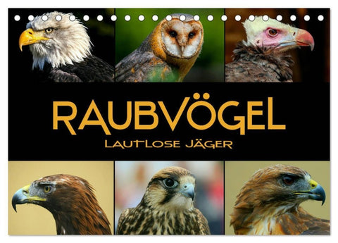 Raubvögel - lautlose Jäger (Tischkalender 2027 DIN A5 quer), CALVENDO Monatskalender