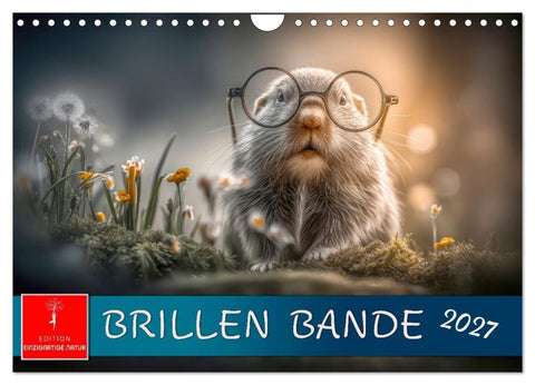 Brillen Bande (Wandkalender 2027 DIN A4 quer), CALVENDO Monatskalender