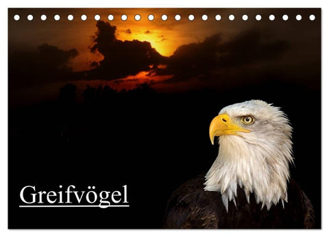 Greifvögel (Tischkalender 2027 DIN A5 quer), CALVENDO Monatskalender