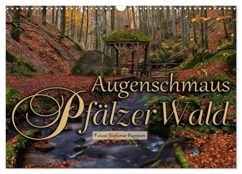 Augenschmaus Pfälzer Wald (Wandkalender 2027 DIN A3 quer), CALVENDO Monatskalender