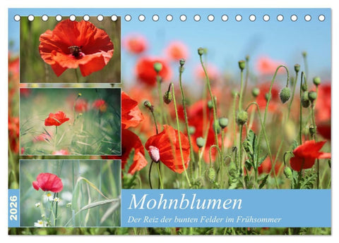 Mohnblumen (Tischkalender 2026 DIN A5 quer), CALVENDO Monatskalender