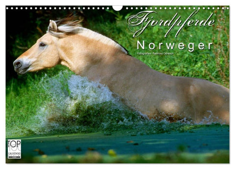 Fjordpferde - Norweger (Wandkalender 2026 DIN A3 quer), CALVENDO Monatskalender