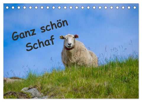 Ganz schön Schaf (Tischkalender 2027 DIN A5 quer), CALVENDO Monatskalender