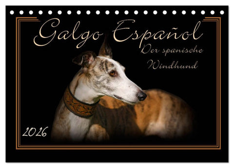 Galgo Español 2026- Der spanische Windhund (Tischkalender 2026 DIN A5 quer), CALVENDO Monatskalender
