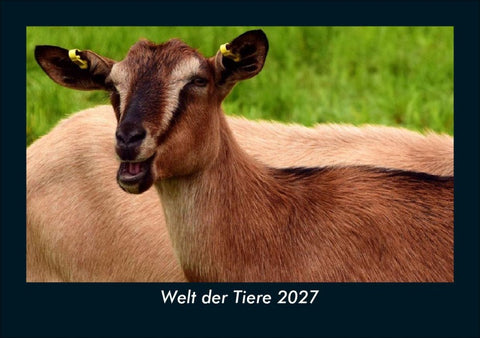 Welt der Tiere 2027 Fotokalender DIN A5