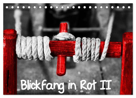 Blickfang in Rot (Tischkalender 2027 DIN A5 quer), CALVENDO Monatskalender