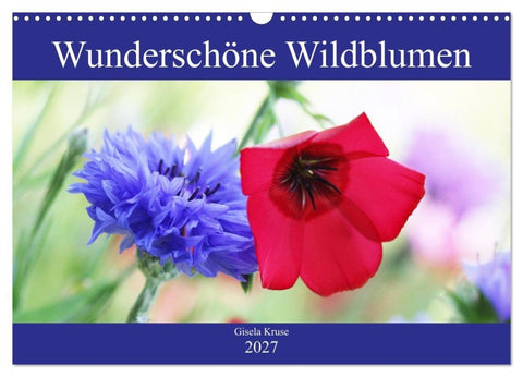 Wunderschöne Wildblumen (Wandkalender 2027 DIN A3 quer), CALVENDO Monatskalender