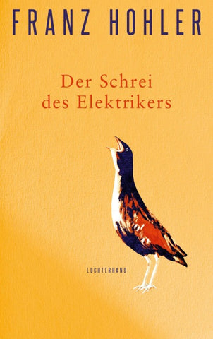 Der Schrei des Elektrikers
