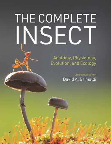 The Complete Insect