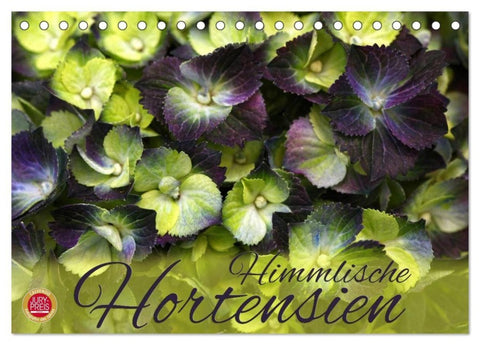 Himmlische Hortensien (Tischkalender 2027 DIN A5 quer), CALVENDO Monatskalender