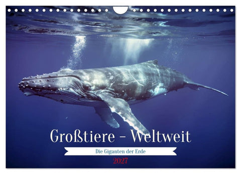Großtiere - Weltweit (Wandkalender 2027 DIN A4 quer), CALVENDO Monatskalender