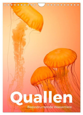 Quallen - Beeindruckende Wassertiere (Wandkalender 2027 DIN A4 hoch), CALVENDO Monatskalender