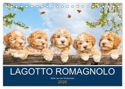 Lagotto Romagnolo - Bilder aus der Kinderstube (Tischkalender 2026 DIN A5 quer), CALVENDO Monatskalender