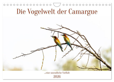 Die Vogelwelt der Camargue (Wandkalender 2026 DIN A4 quer), CALVENDO Monatskalender