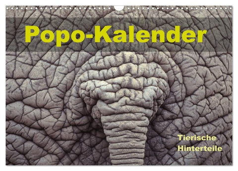 Popo-Kalender (Wandkalender 2027 DIN A3 quer), CALVENDO Monatskalender