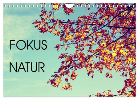 Focus Natur (Wandkalender 2027 DIN A4 quer), CALVENDO Monatskalender