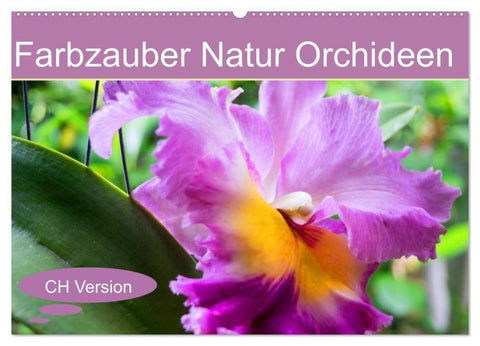 Farbzauber Natur Orchideen - CH Version (Wandkalender 2027 DIN A2 quer), CALVENDO Monatskalender