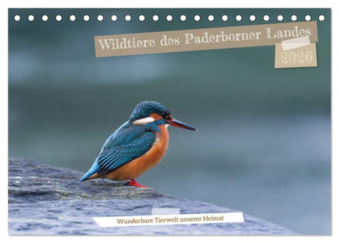 Wildtiere des Paderborner Landes (Tischkalender 2026 DIN A5 quer), CALVENDO Monatskalender