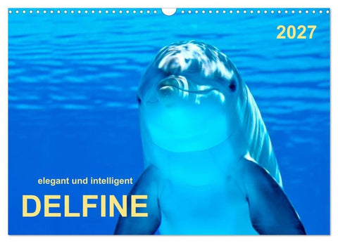 Delfine - elegant und intelligent (Wandkalender 2027 DIN A3 quer), CALVENDO Monatskalender