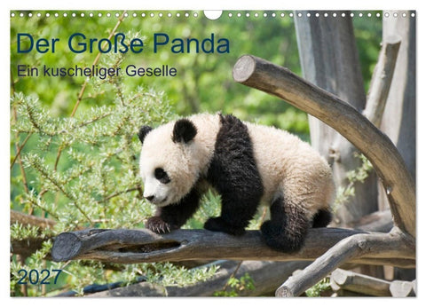 Der Große Panda Ein kuscheliger Geselle (Wandkalender 2027 DIN A3 quer), CALVENDO Monatskalender