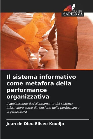 Il sistema informativo come metafora della performance organizzativa