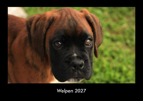 Welpen 2027 Fotokalender DIN A3