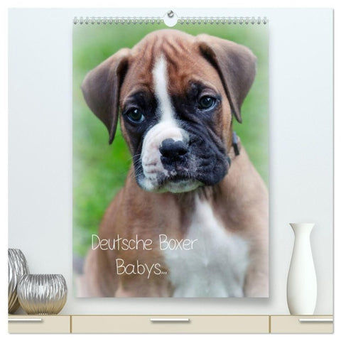 Deutsche Boxer Babys... (hochwertiger Premium Wandkalender 2027 DIN A2 hoch), Kunstdruck in Hochglanz