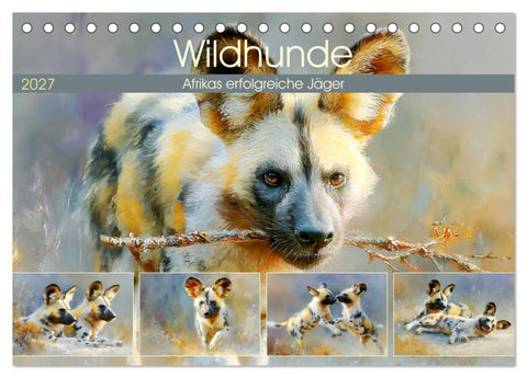 Wildhunde. Afrikas erfolgreiche Jäger (Tischkalender 2027 DIN A5 quer), CALVENDO Monatskalender