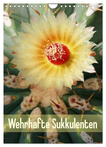 Wehrhafte Sukkulenten (Wandkalender 2027 DIN A4 hoch), CALVENDO Monatskalender
