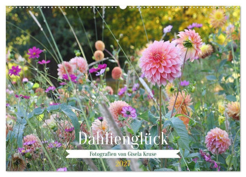 Dahlienglück (Wandkalender 2027 DIN A2 quer), CALVENDO Monatskalender