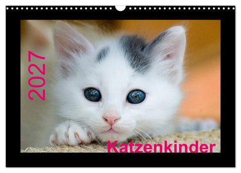 Katzenkinder (Wandkalender 2027 DIN A3 quer), CALVENDO Monatskalender