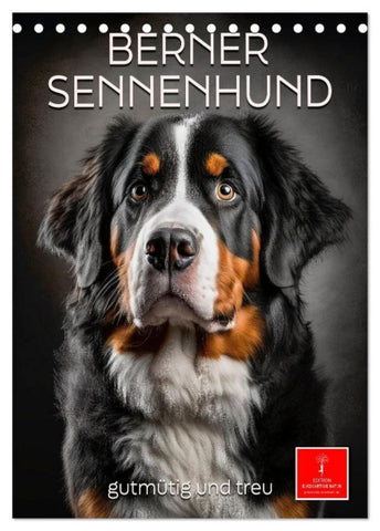 Berner Sennenhund - gutmütig und treu (Tischkalender 2027 DIN A5 hoch), CALVENDO Monatskalender