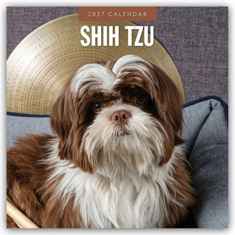 Shih Tzu 2027 – 16-Monatskalender